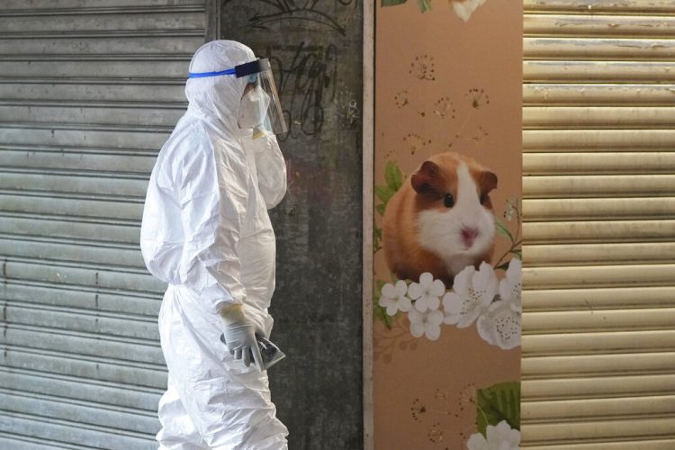 Tue. 8:31 a.m.: Hong Kong to kill 2,000 animals after hamsters get COVID-19